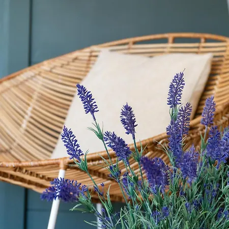 & Glamping Borgo Di Campagna 호텔 포르토산파울로