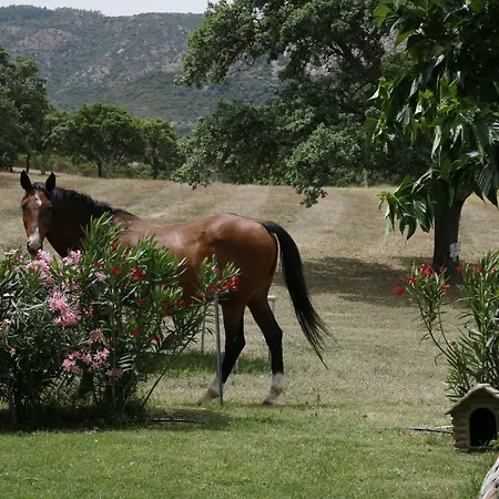 호텔 & Glamping Borgo Di Campagna 3*
