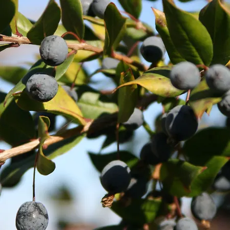 Hotel Hotel Borgo Di Campagna 3*