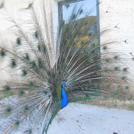 Hotel Borgo Di Campagna