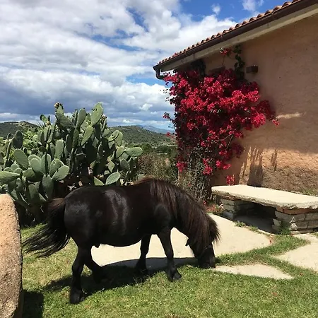 Hotel Borgo Di Campagna Porto San Paolo (Sardinia)