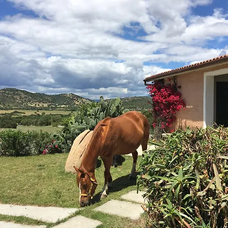 Hotel Borgo Di Campagna Porto San Paolo (Sardinia)