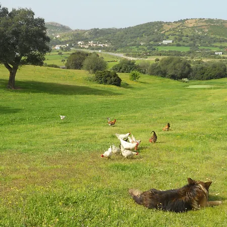 & Glamping Borgo Di Campagna מלון