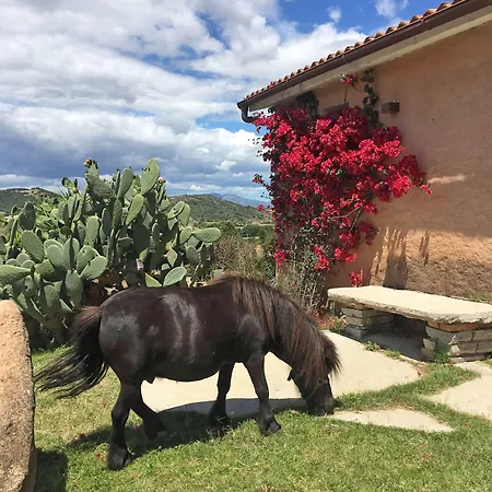 & Glamping Borgo Di Campagna Porto San Paolo (Sardinia)