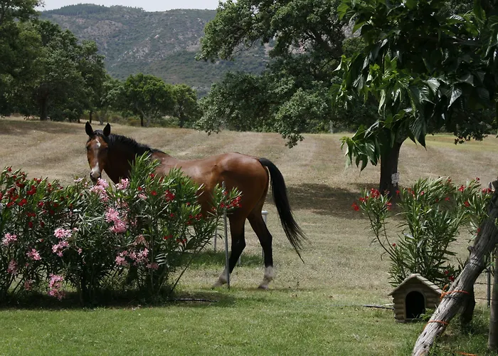 Hotel & Glamping Borgo Di Campagna 3*