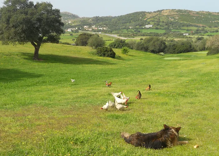 & Glamping Borgo Di Campagna Hotel